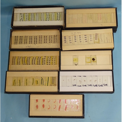 738 - Ten boxes of microscopic slides of marine specimens.