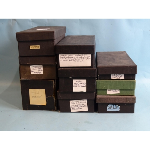 738 - Ten boxes of microscopic slides of marine specimens.