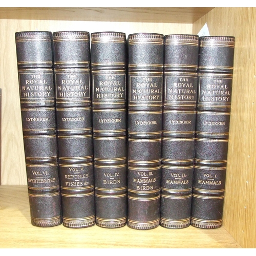 29 - Lydekker (Richard, Ed.), The Royal Natural History, 6 vols, col plts, illus, teg, hf black mor gt, 4... 