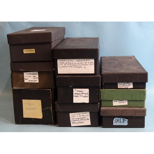 738 - Ten boxes of microscopic slides of marine specimens.