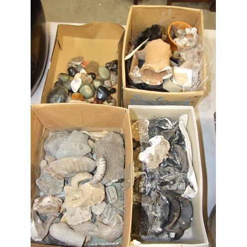 103 - A collection of polished stones, field finds, fossils and miscellaneous items.