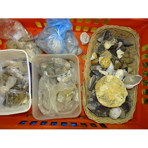 122 - A collection of flints, minerals and fossils, including dinosaur bones.