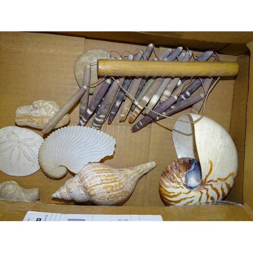 150 - A collection of sea shells, including tropical, European and Comoro Islands, (Provenance: Dr Quentin... 