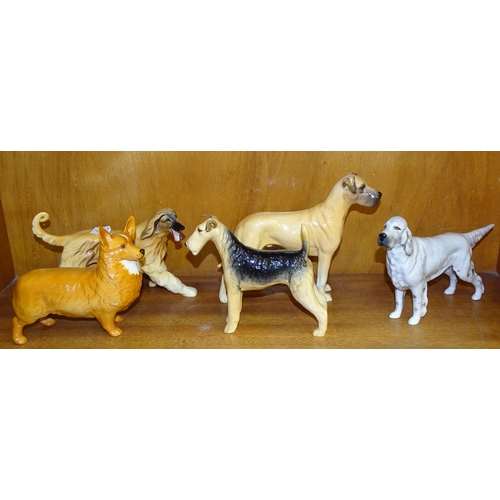 145 - Five Beswick dogs: Afghan Hound Running, Great Dane, 