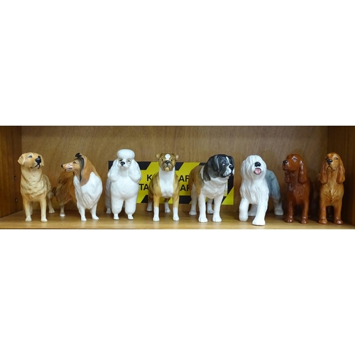 149 - Seven Beswick dogs: Cocker Spaniel, brown gloss (2), Rough Collie, Old English Sheep Dog - Walking, ... 