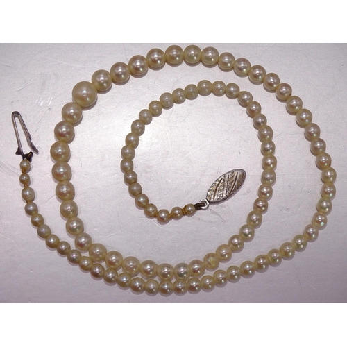 446 - A string of graduated cultured pearls with silver clasp, 3mm-7mm, 43cm long, 12g and a string of gra... 