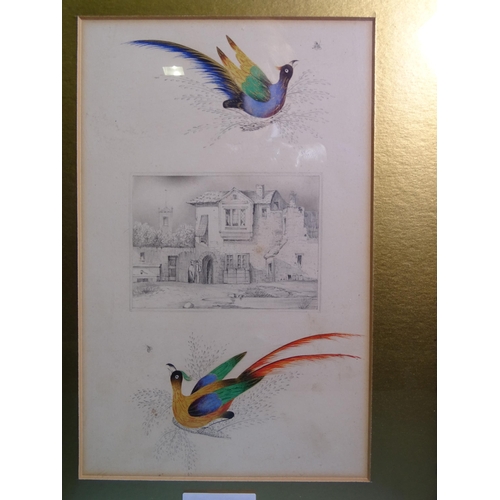 134 - 19th century English School THREE STUDIES OF EXOTIC BIRDS AND ARCHITECTURAL SUBJECTS Pencil drawings... 