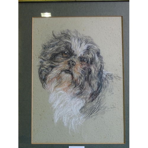 137 - Robert Oscar Lenkiewicz (1941-2002) STUDY OF TWO DOGS Signed pencil sketch, 35 x 45cm and a pastel a... 