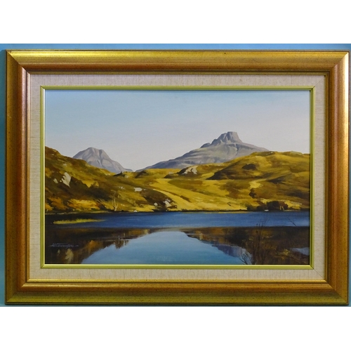 177 - Alastair W Thomson (Scottish, b.1929) STAC POLLAIDH Signed oil on board, 29.5 x 44cm, titled on Torr... 