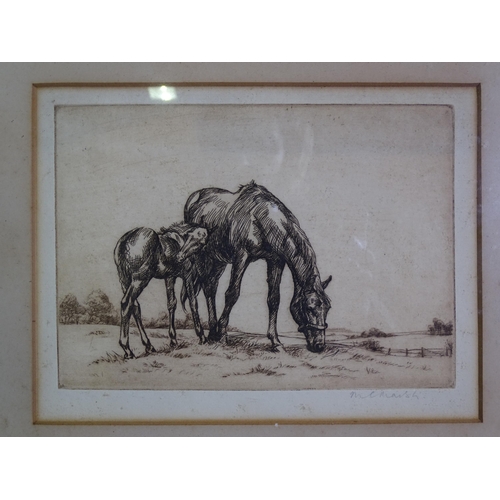 92 - Mary C Marsh, 'Mare & Foal', etching, signed in mount, titled label verso, 14.5 x 18.5cm, togeth... 