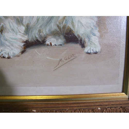 144 - Mabel Gear (1898-1987) TWO SEALYHAM TERRIERS TETHERED IN A BARN Signed oil on board, 29 x 38cm.... 