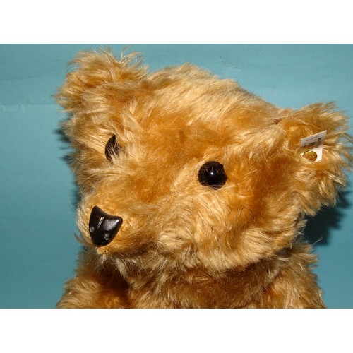 421 - A modern boxed Steiff Barle 35 Pab 1905 teddy bear, with button, tags, certificate (no.3433 of ... 