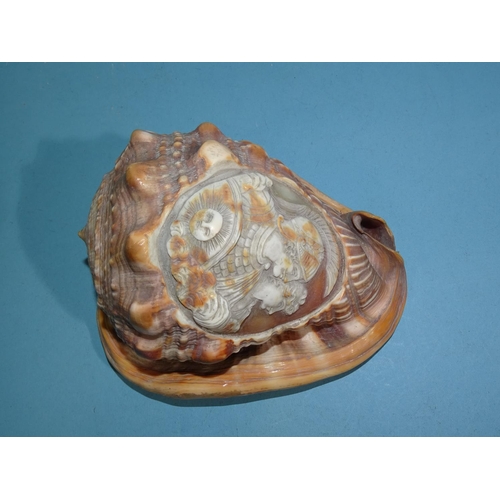 149 - A conch shell carved with cameo of a Roman god and goddess, with depiction of the sun, 16cm high.... 