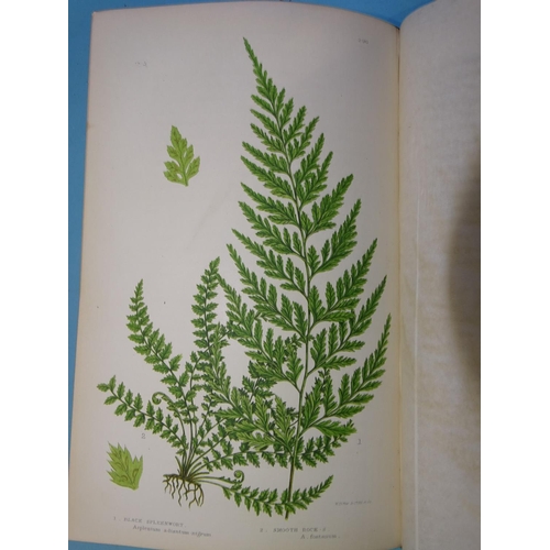 4 - Pratt (Anne), The Ferns of Great Britain and Their Allies, hd col plts, cl (spine a/f) ge, 8vo, nd; ... 