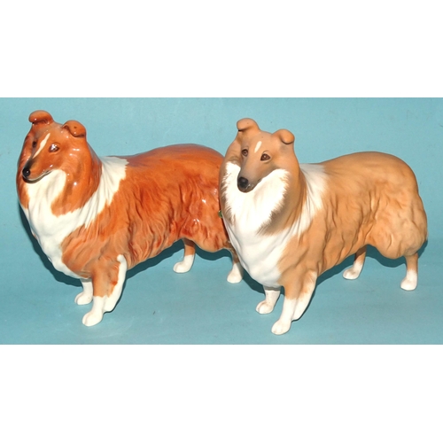 151 - Two Beswick Collie dogs: 'Lochinvar of Lady Park', one matte, the other gloss, a Royal Doulton 'Sir ... 