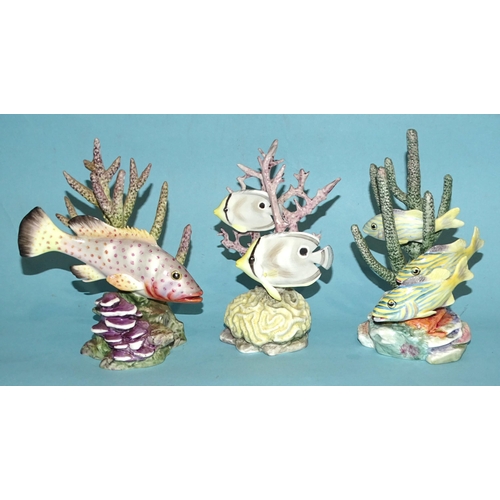 55 - A group of five Royal Worcester fish models: 