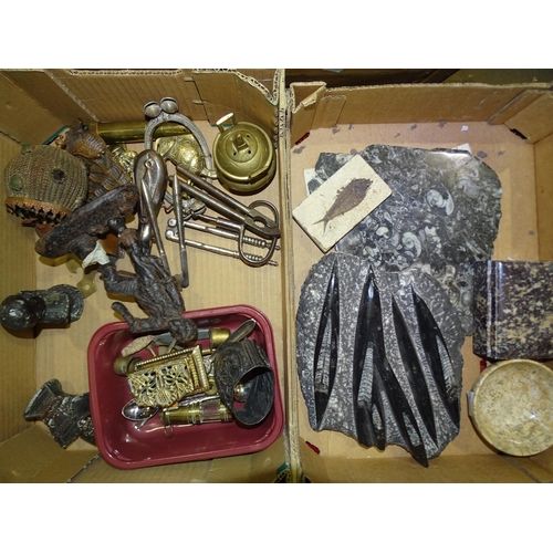 132 - Various metalware items, curios, steel nutcrackers, various fossils and miscellaneous items.... 