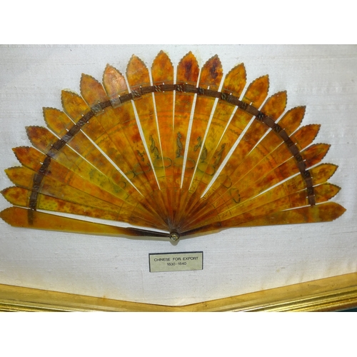 150 - A 19th century Chinese tortoiseshell and chinoiserie-decorated fan in glazed case, 34 x 53cm.... 