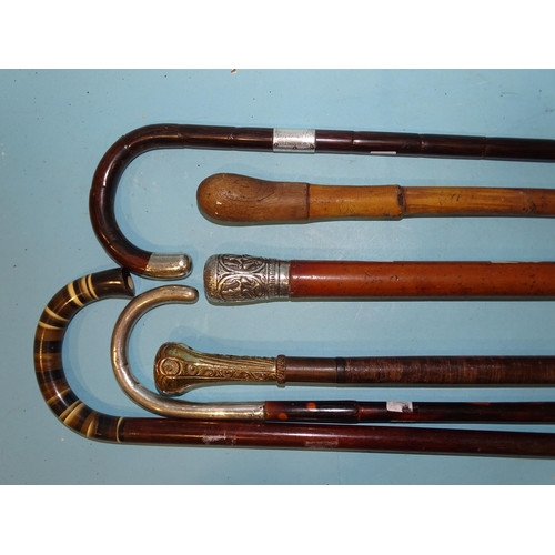 171 - A leather washer walking cane with gilt metal top, two silver-mounted walking sticks and three other... 