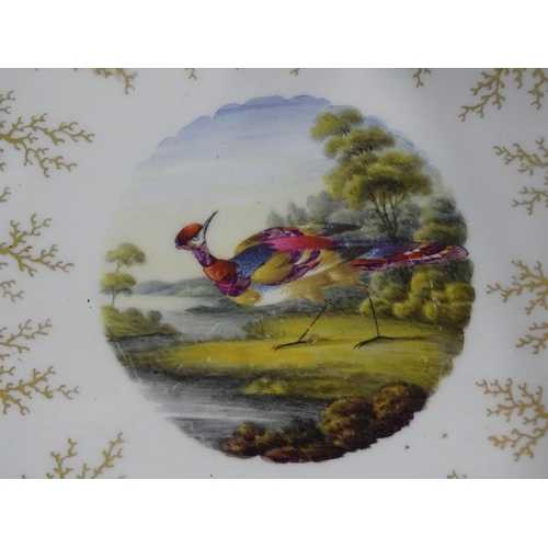 202 - A Flight, Barr & Barr square shallow dish with centrally-painted exotic bird, within a gilt bord... 