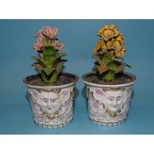 203 - A pair of Continental, 'red anchor' flowerpot ornaments, each floral spray within a planter decorate... 