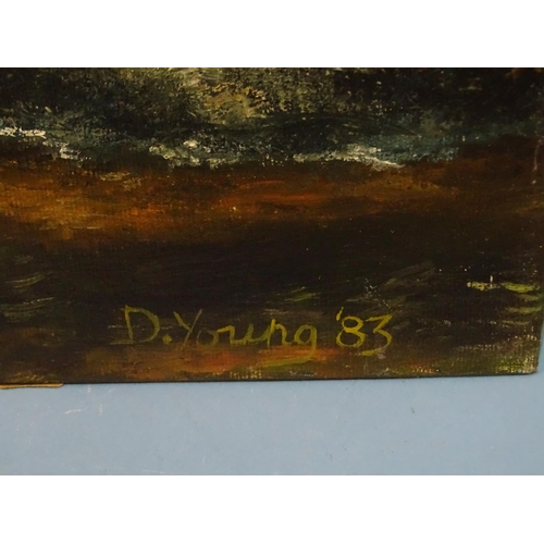 34 - David William Young (British, 20th century) RIVER DART ABOVE DARTMEET Signed oil on canvas board, da... 