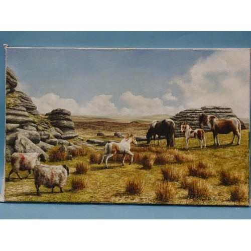 35 - David William Young (British, 20th century) PONIES AT GREAT LINKS TOR Signed oil on canvas, dated '8... 