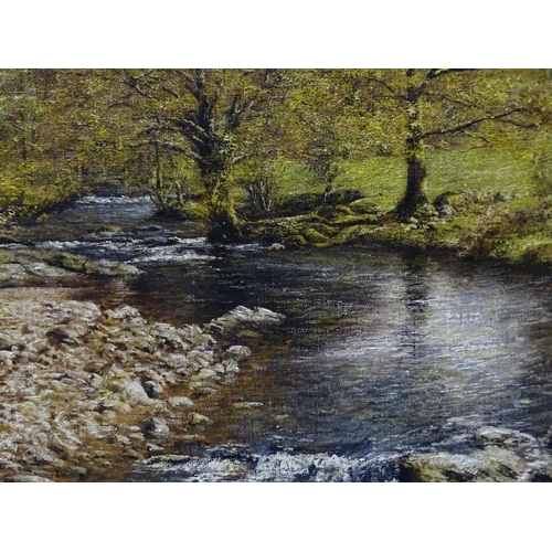 37 - David William Young (British, 20th century) HILL BRIDGE, RIVER TAVY Signed oil on linen, dated '87, ... 