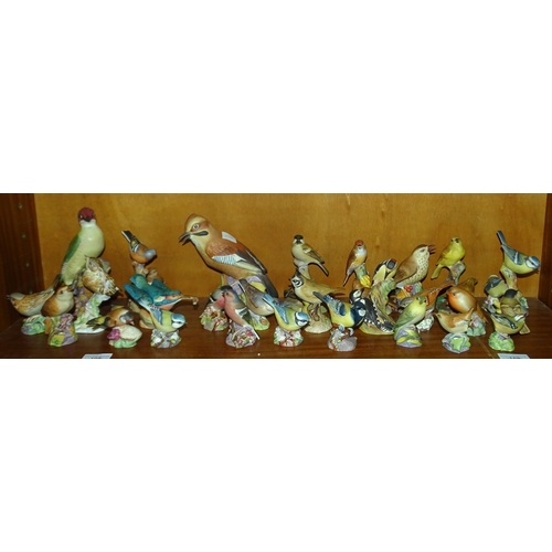 108 - A collection of twenty-seven Royal Worcester bird ornaments, including 