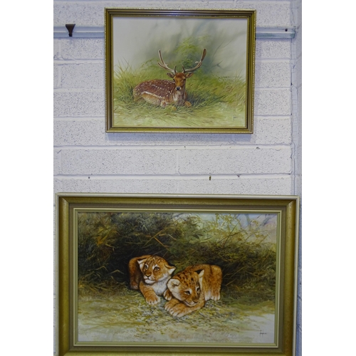 59 - Nance, 'Fallow deer stag', oil on board, 40 x 50cm and another, 'Lion cubs', 50 x 73cm, (2).... 