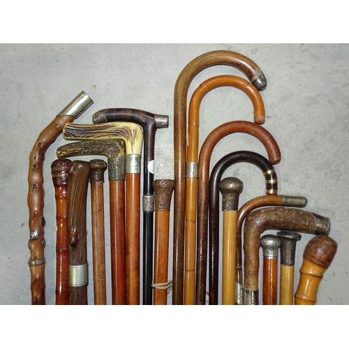 95 - A collection of silver-mounted and other walking canes.