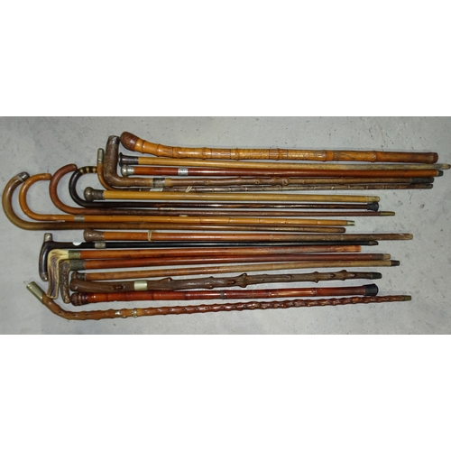 95 - A collection of silver-mounted and other walking canes.