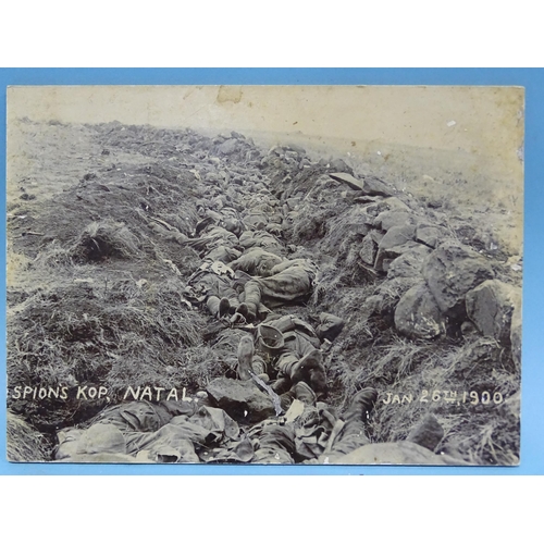 116 - A photograph of dead soldiers in a shallow grave at Spion's Kop, Natal, Jan 26th 1900 and approximat... 