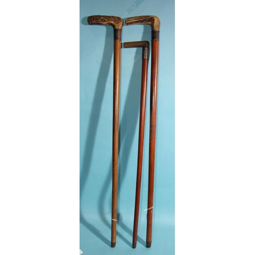 401 - A Malacca and stag antler-handled walking cane, the silver collar marked 