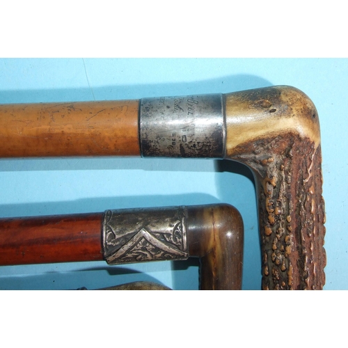 401 - A Malacca and stag antler-handled walking cane, the silver collar marked 