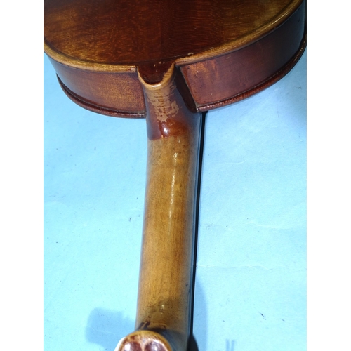 480A - An early-20th century full-size violin with two-piece back, with two bows, in case.