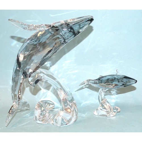 A Swarovski Crystal Society Twenty-Five Years Sculpture Paikea Whale 2012 and a Paikea calf, both in fitted boxes and outer casings (2)