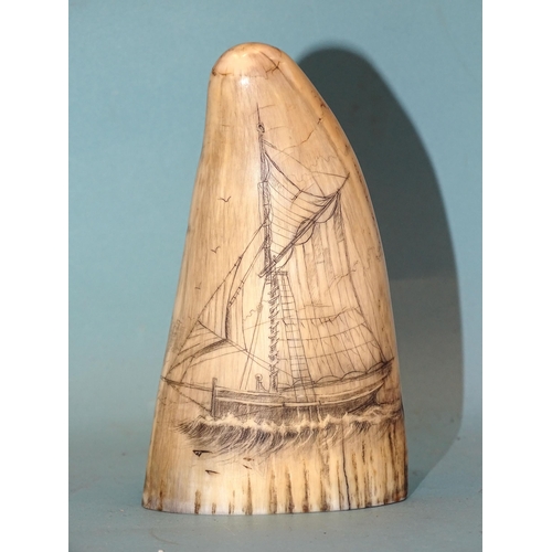 375 - A 19th century scrimshaw tooth depicting a single-masted gaff-rigged vessel, 12.5cm long.... 