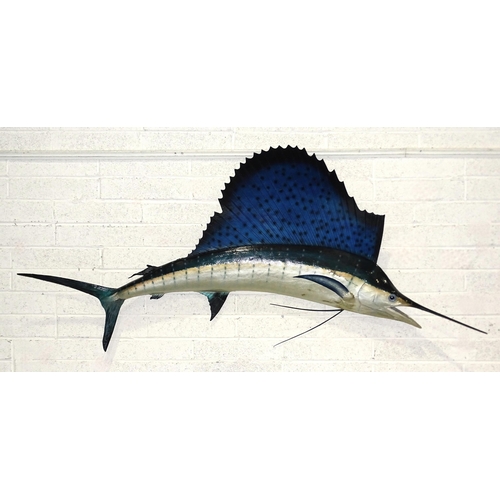 458 - A composite and wood painted model of a sailfish labelled 