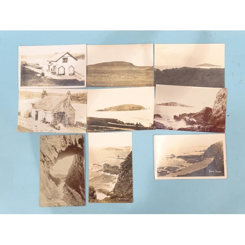 67 - Nine W R Gay RP postcards of Burgh Island, including an early card of the Pilchard Inn with thatched... 