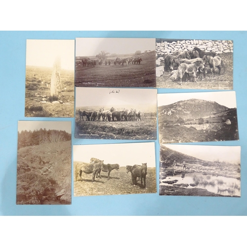 77 - Twenty-four W R Gay RP postcards of Dartmoor, ponies, Dewerstone, bridges and crosses.... 