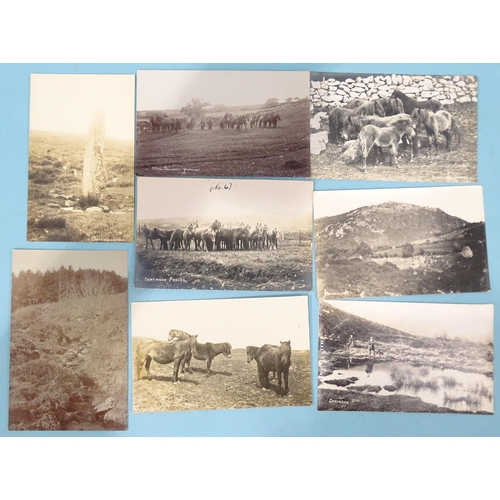 46 - Forty-four W R Gay RP postcards of Dartmoor, including Burrator, Cadover Bridge, Dousland, Brent Hil... 