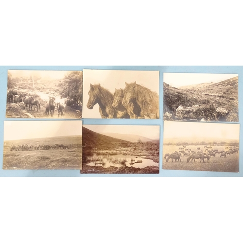 46 - Forty-four W R Gay RP postcards of Dartmoor, including Burrator, Cadover Bridge, Dousland, Brent Hil... 