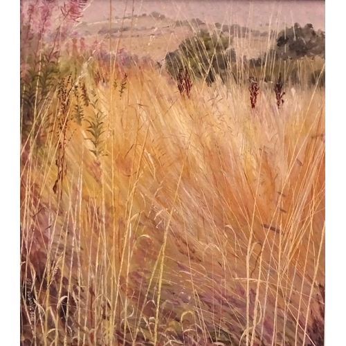 10 - Meg Stevens (1931-2012) SEPTEMBER ROADSIDE GRASS Signed oil on board, dated 89, titled verso, 27.3 x... 