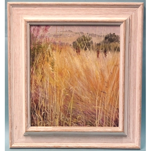 10 - Meg Stevens (1931-2012) SEPTEMBER ROADSIDE GRASS Signed oil on board, dated 89, titled verso, 27.3 x... 