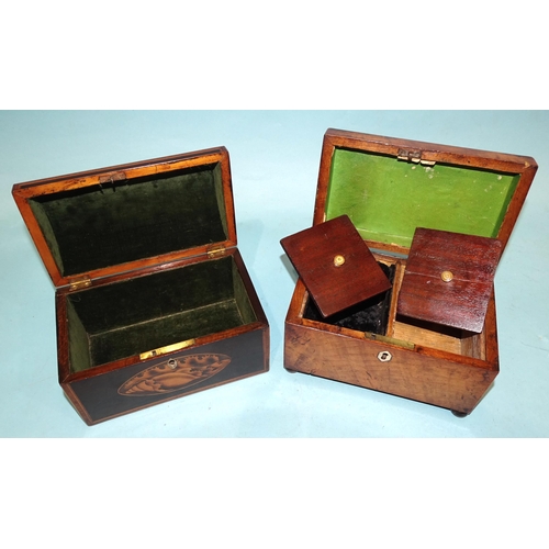 100 - A Georgian mahogany domed tea caddy inlaid with shells and stringing, 19cm wide, 13cm high, (interio... 