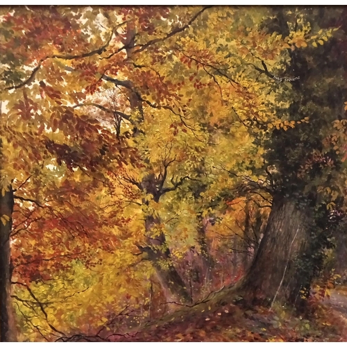 11 - Meg Stevens (1931-2012) AUTUMN - BEECH AND OAK Signed oil on board, titled and annotated verso, 33.3... 