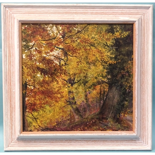 11 - Meg Stevens (1931-2012) AUTUMN - BEECH AND OAK Signed oil on board, titled and annotated verso, 33.3... 