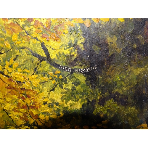 11 - Meg Stevens (1931-2012) AUTUMN - BEECH AND OAK Signed oil on board, titled and annotated verso, 33.3... 