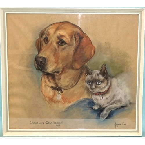 29 - Marjorie Cox (1915-2003) SAM AND CHARNOS Pastel study of a Labrador and a Siamese cat, 44.5 x 49.5cm... 